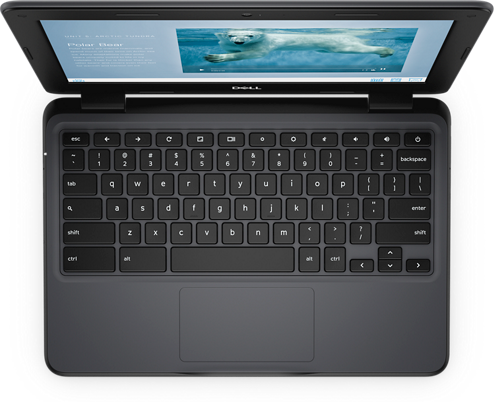 Dell Chromebook 3100 Chrome OS Laptop - 11.6" Display Intel Celeron Dual Core - 4 GB RAM 16 GB eMMC Intel HD Graphics