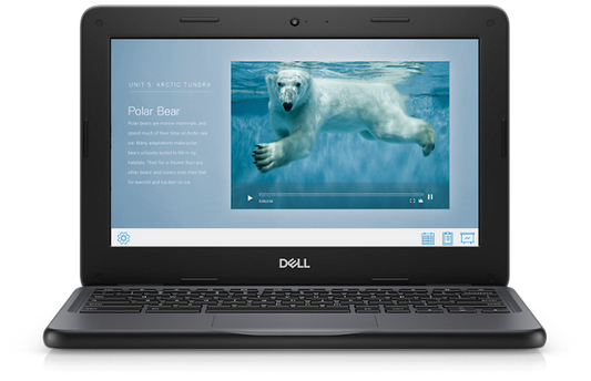 Dell Chromebook 3100 Chrome OS Laptop - 11.6" Display Intel Celeron Dual Core - 4 GB RAM 16 GB eMMC Intel HD Graphics